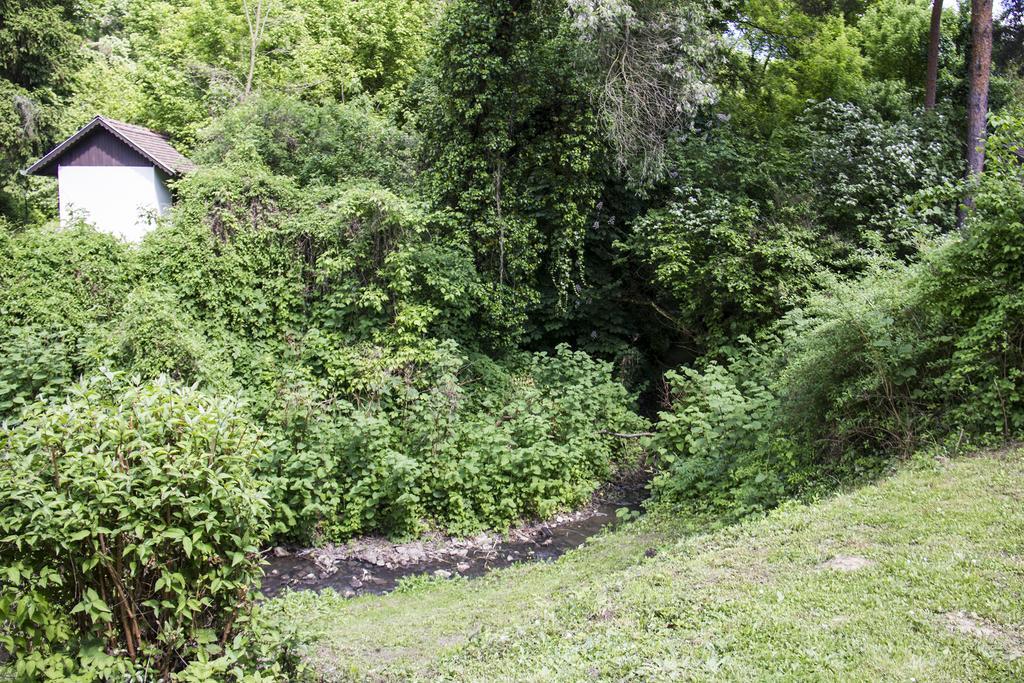 Vila Teraszhaz Zebegény Exteriér fotografie