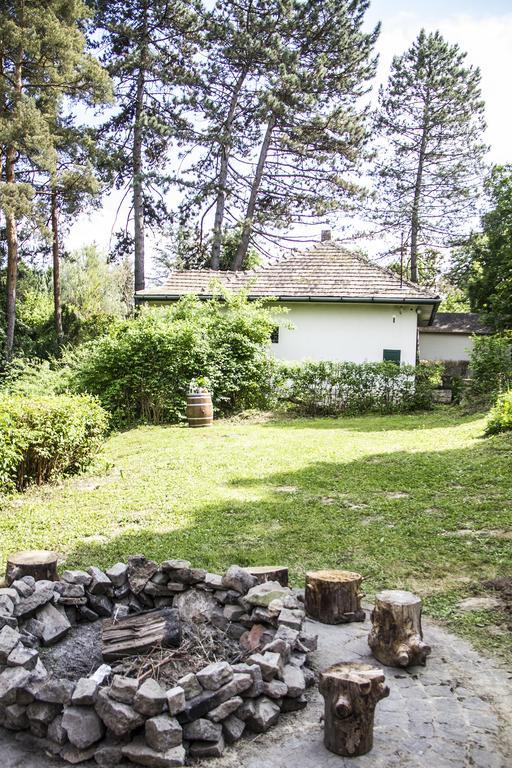 Vila Teraszhaz Zebegény Exteriér fotografie
